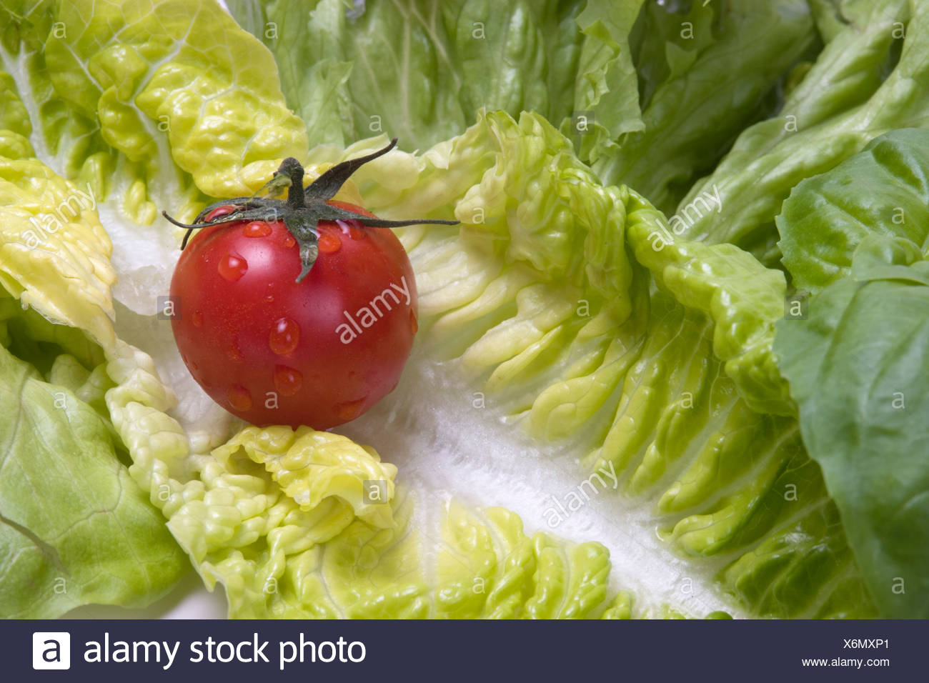 Salad leaves with tomato Stock Photo