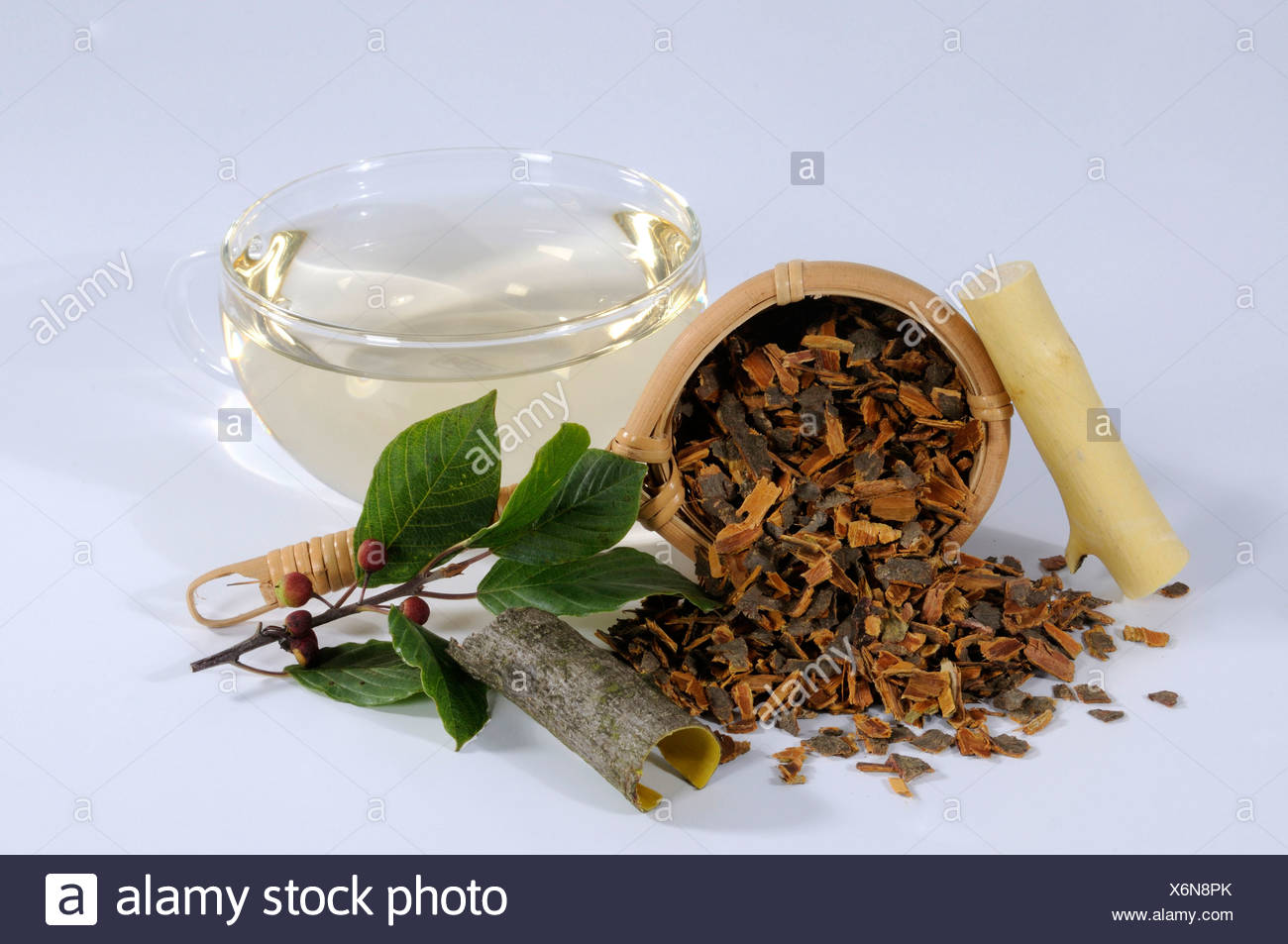 Bark buckthorn and its benefits for folk medicine Bark buckthorn and its benefits for folk medicine