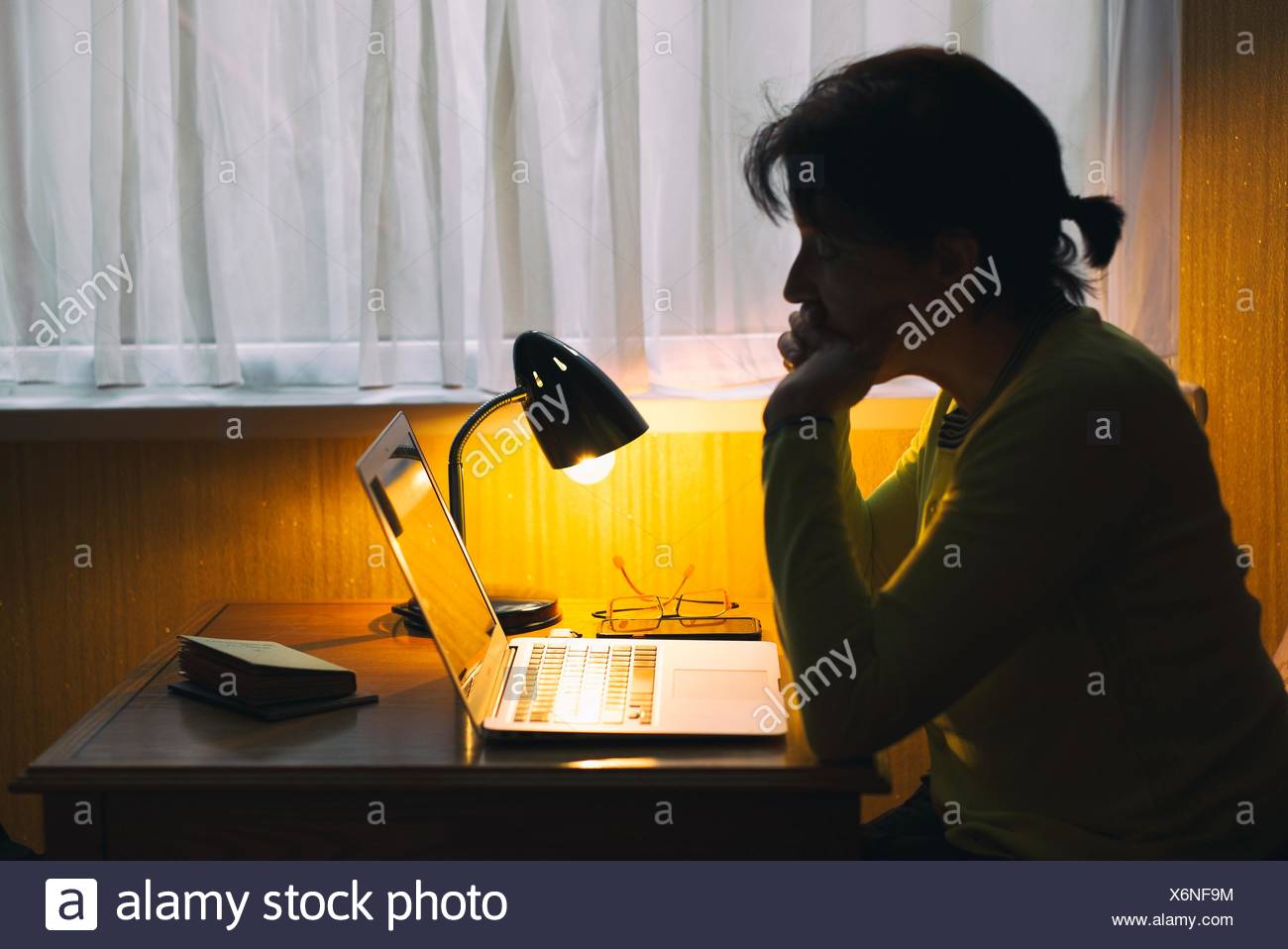 Silhouette Of A Young Woman Working With A Lap Top On A Table