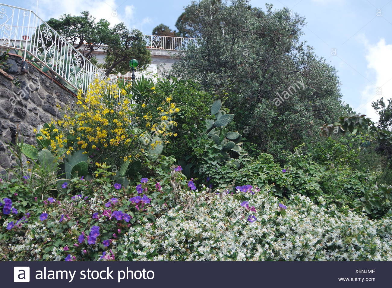 Mediterraner Garten Ischia Stock Photo 279529502 Alamy