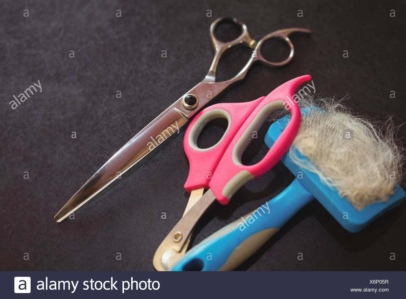Download Pet Grooming Scissors High Resolution Stock Photography And Images Alamy