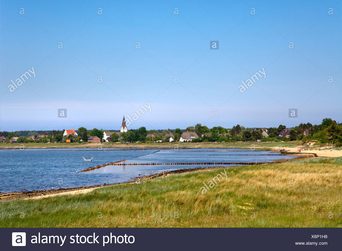 Coast Of Nebel Amrum Nordfriesland Schleswig Holstein Germany