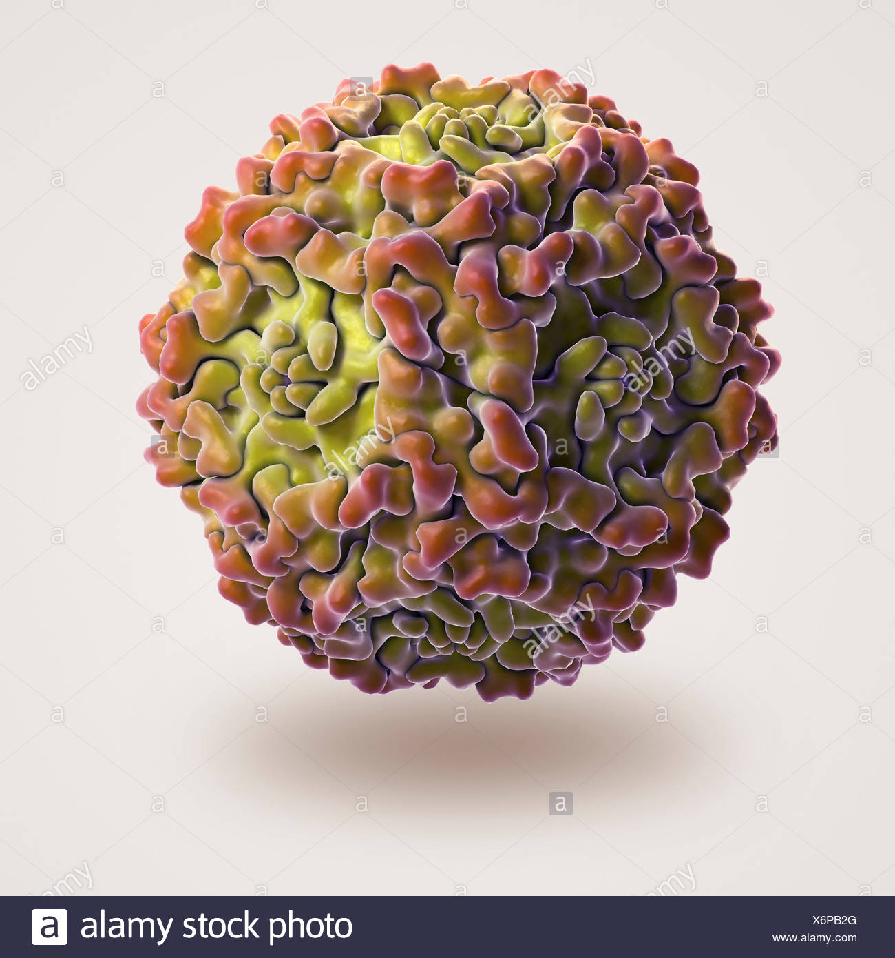 Structure Human Parvovirus B19 (PDB 1S58). B19 Virus Causes Childhood ...