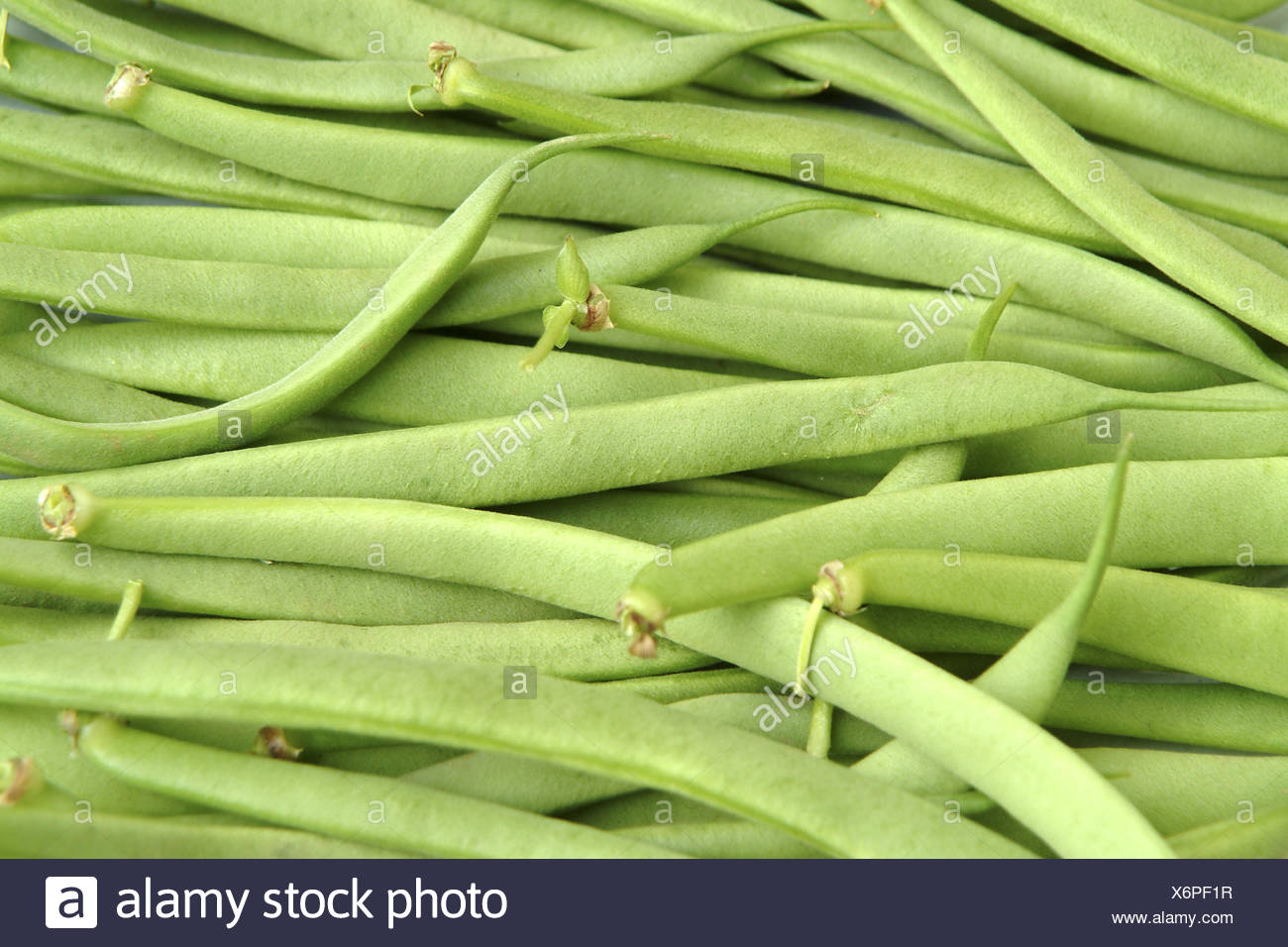 Green Beans Kenya Stock Photos & Green Beans Kenya Stock Images Alamy