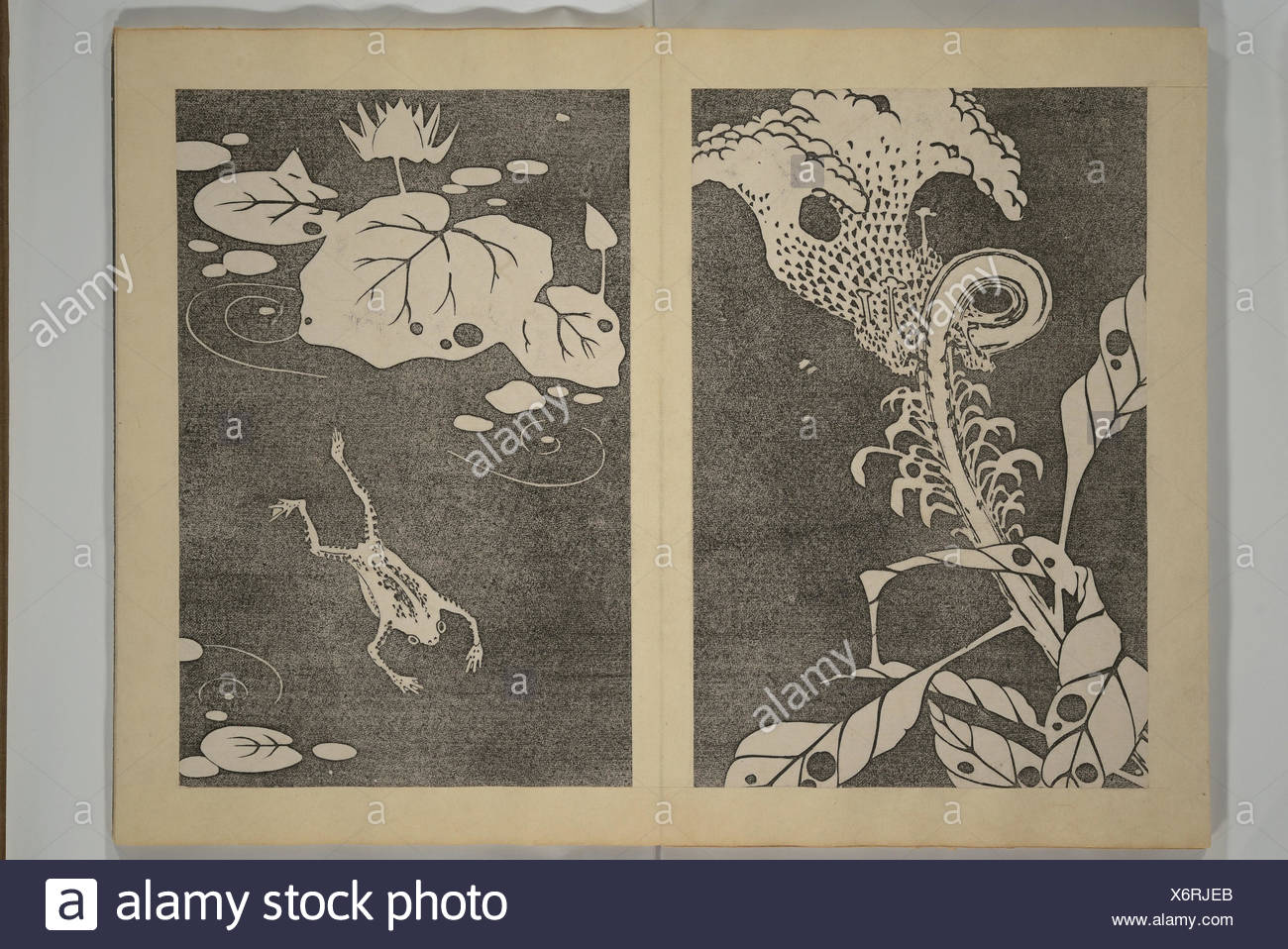 Jakuchu Picture Album (Jakuchu gajo). Artist: Ito Jakuchu (Japanese, 1716-1800); Period: Meiji period (1868-1912); Date: ca. 1900; Culture: Japan;