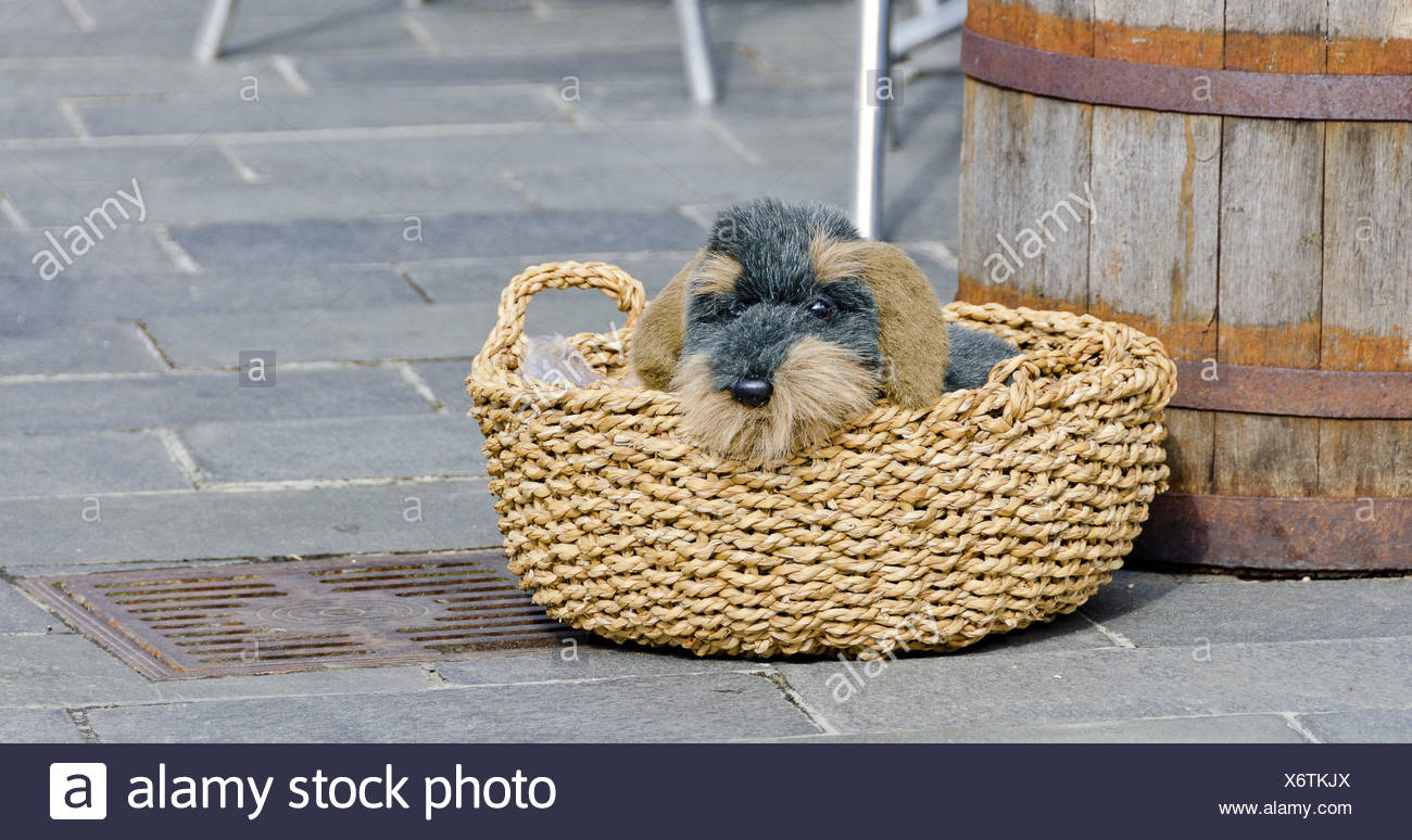 long haired dachshund stuffed animal