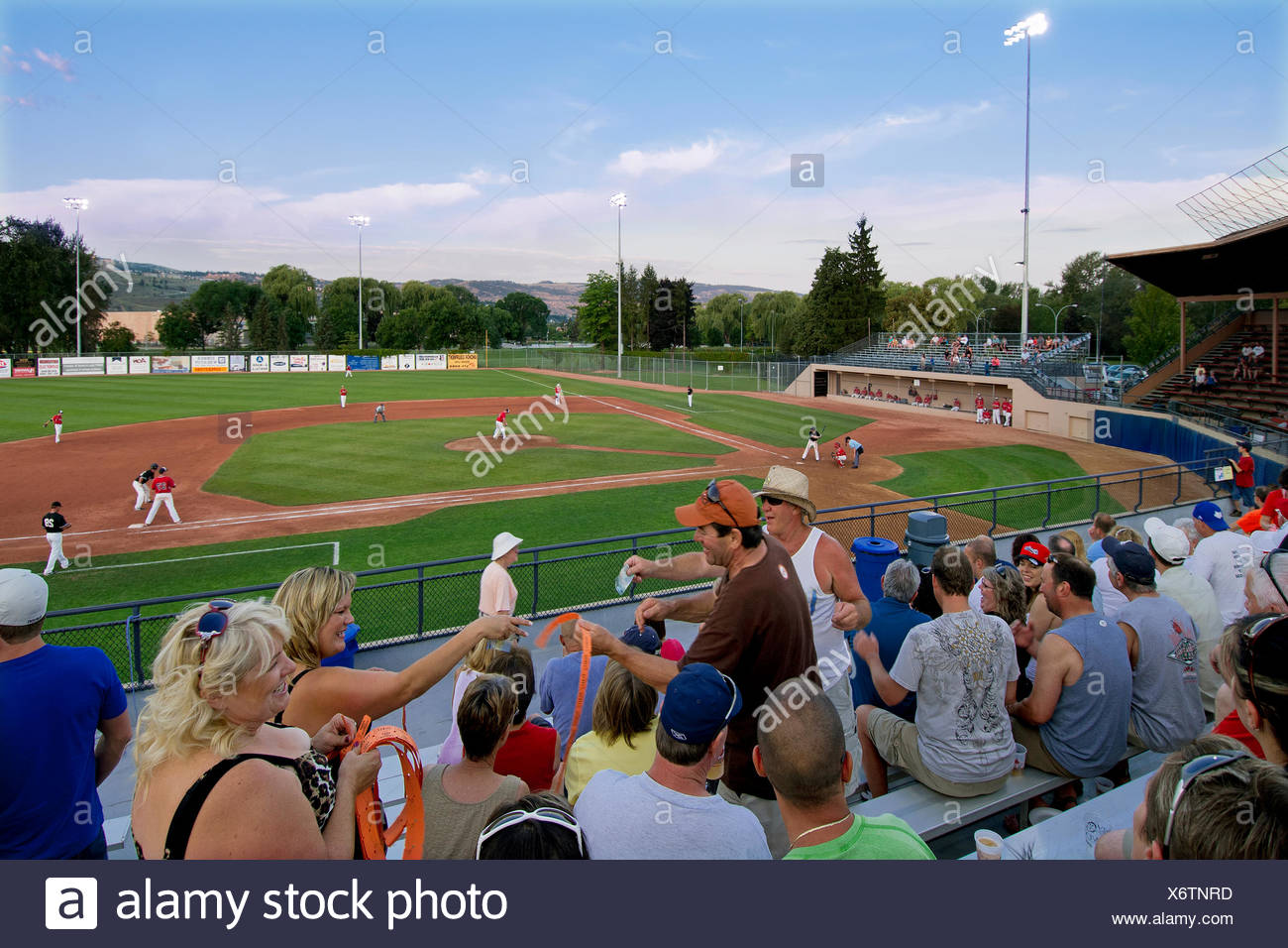 Baseball Diamonds High Resolution Stock Photography and Images Alamy