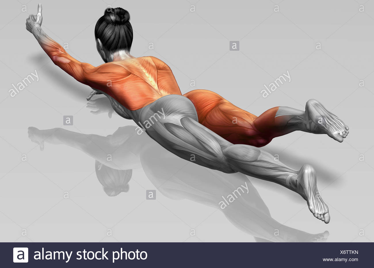 Arm Extensions High Resolution Stock Photography and Images Alamy