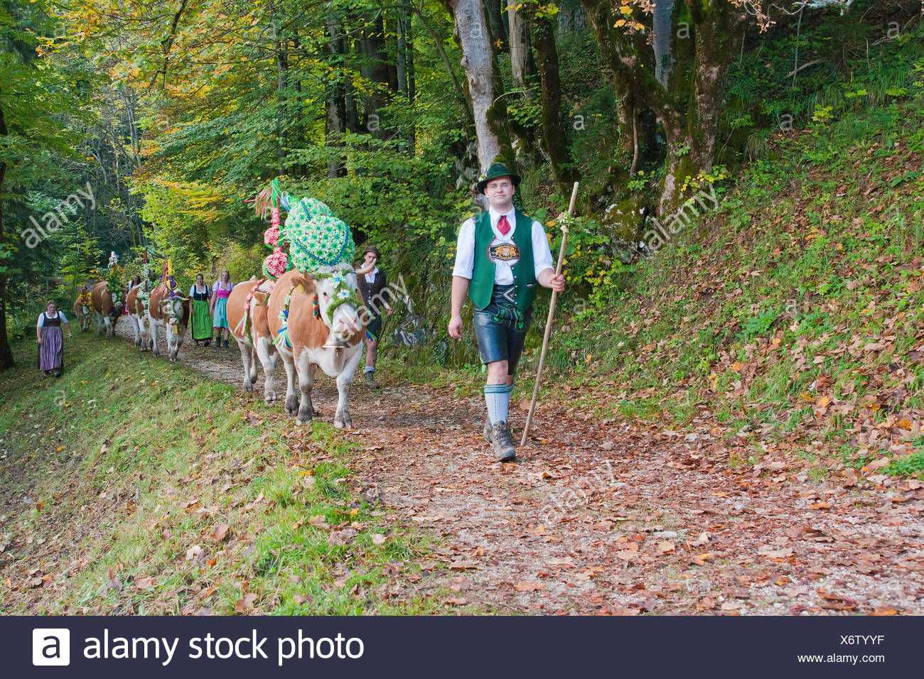 Hof Plz 3073 In Niederosterreich 2020