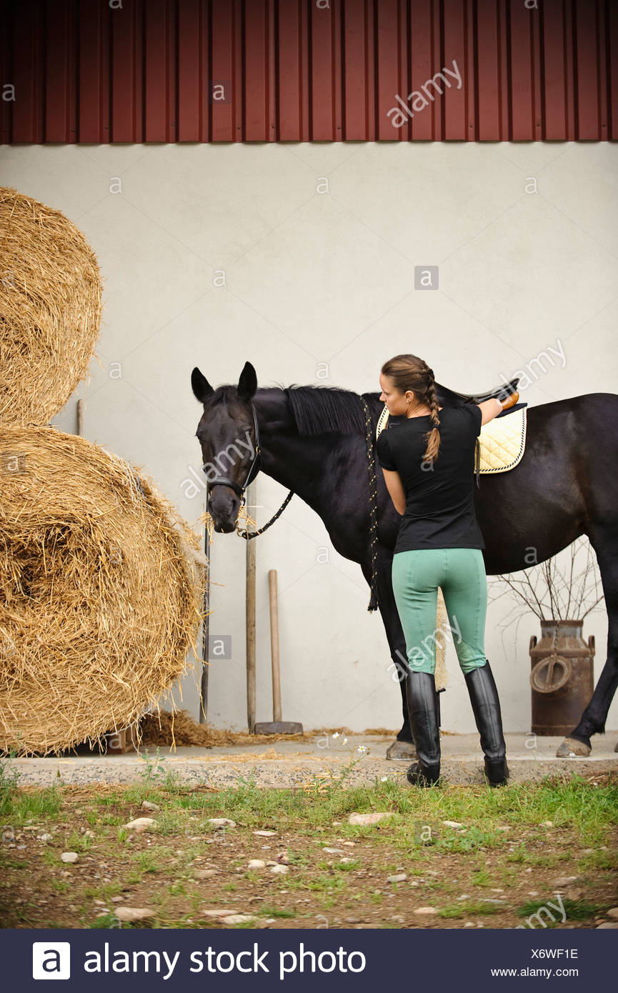 female saddle