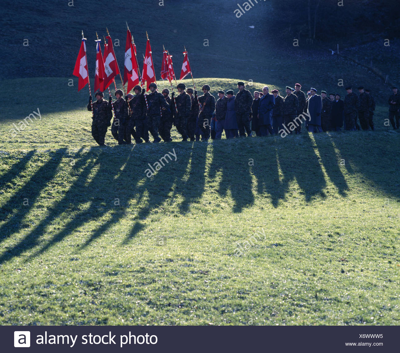 Standard Standard High Resolution Stock Photography and Images Alamy