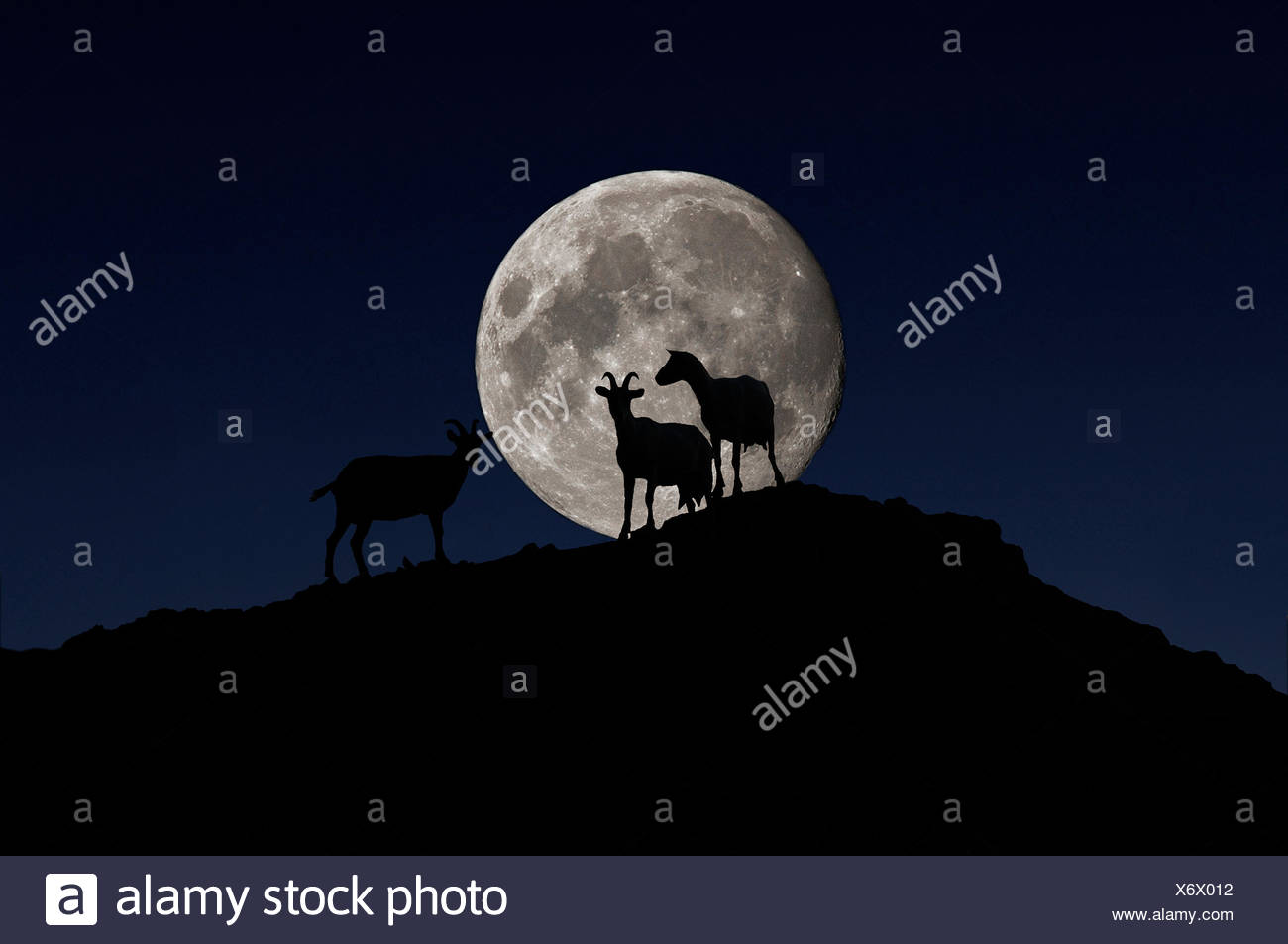 Dairy Goats In Silhouette On A Hill In Front Of The Full Moon