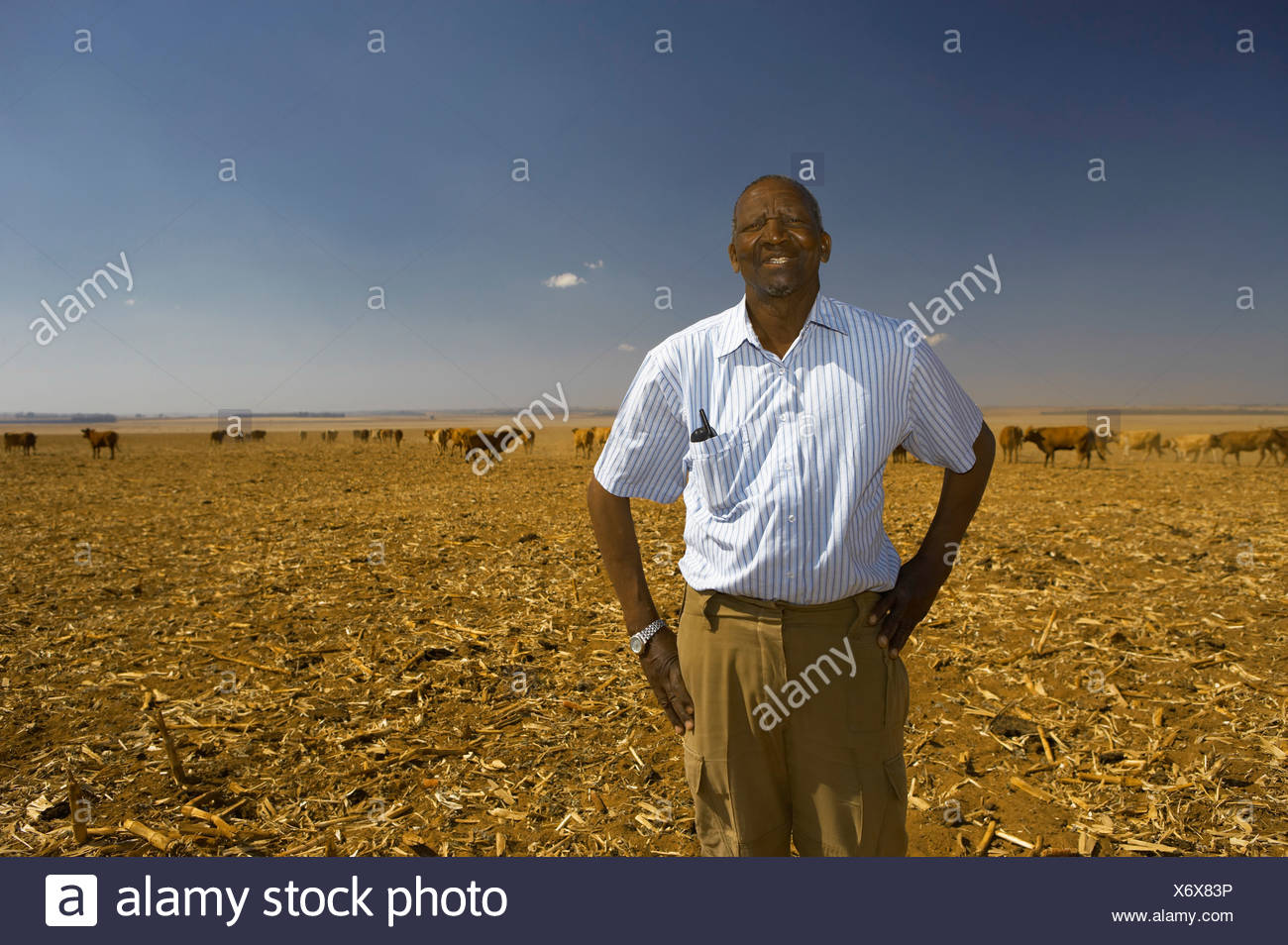 hair clippers farmers