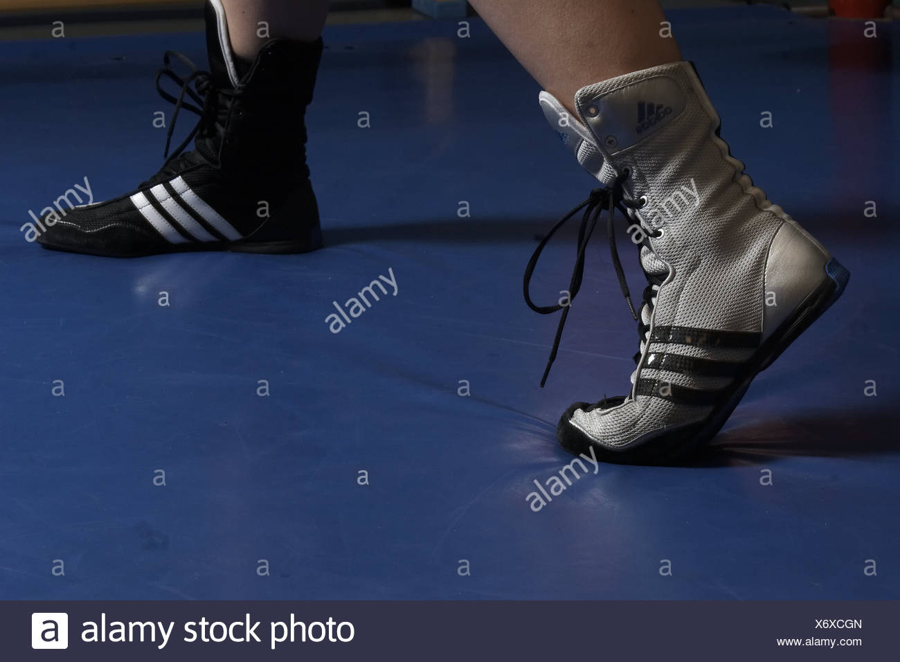 champion boxing shoes