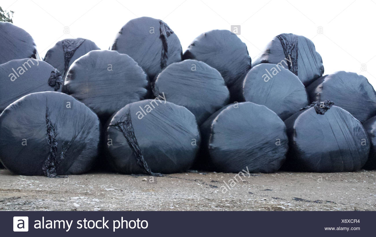 Hay Bale Wrapped In Black Plastic High Resolution Stock Photography and