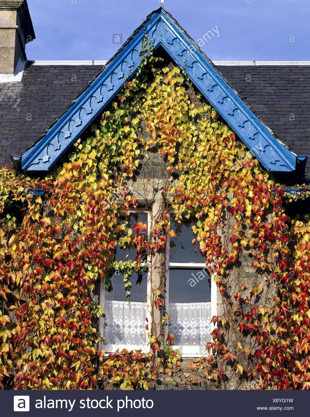 House Facade Gable Window Savage Wine Autumn House Facade