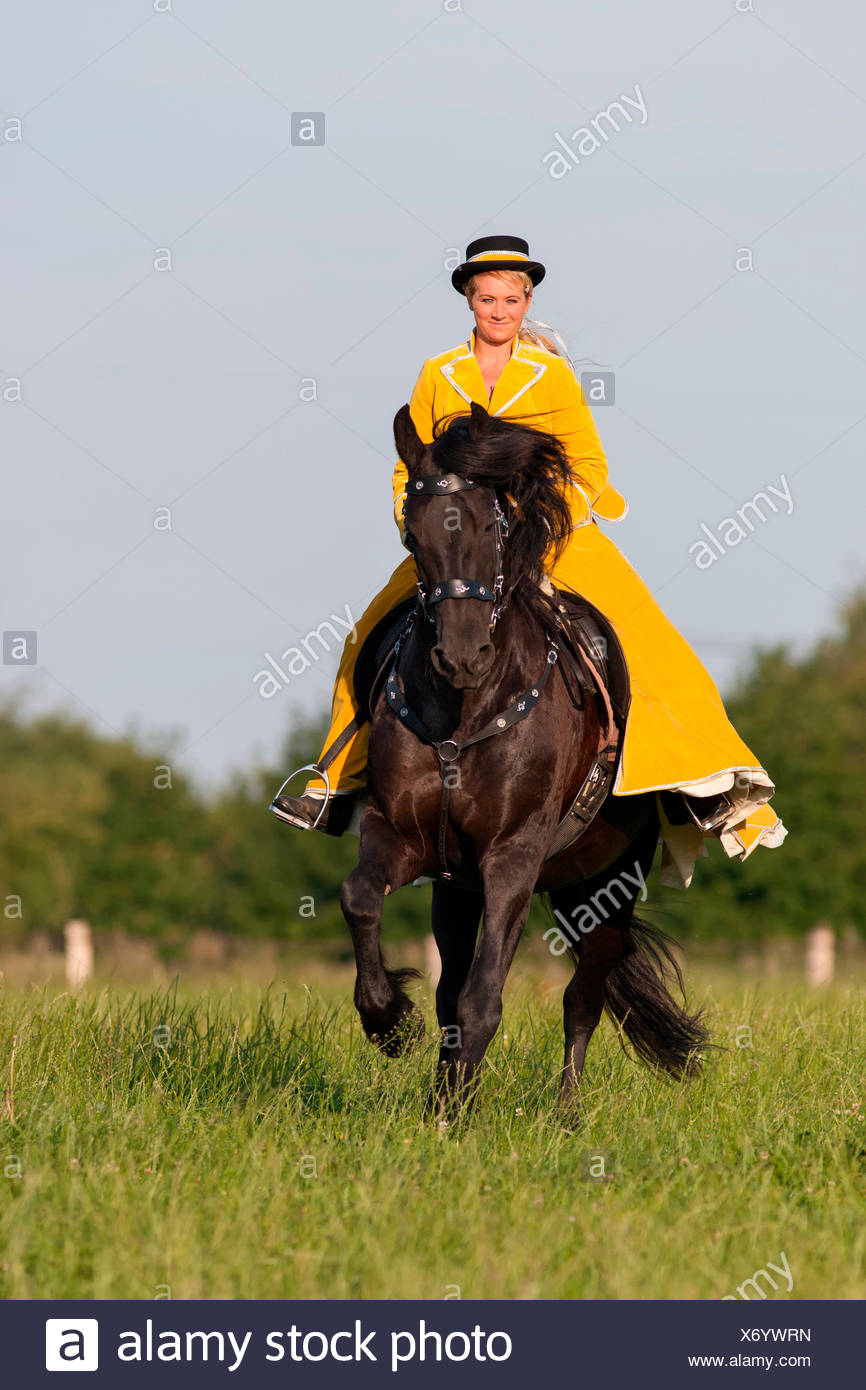Baroque Riding High Resolution Stock Photography and Images - Alamy