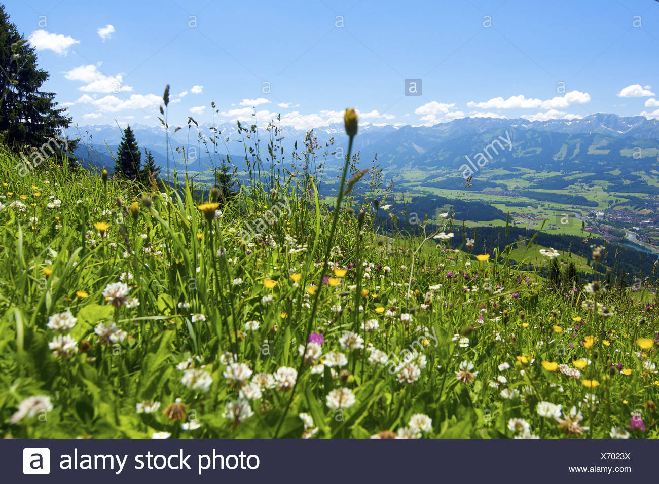 Immenstadt Im Allgaeu High Resolution Stock Photography and Images - Alamy