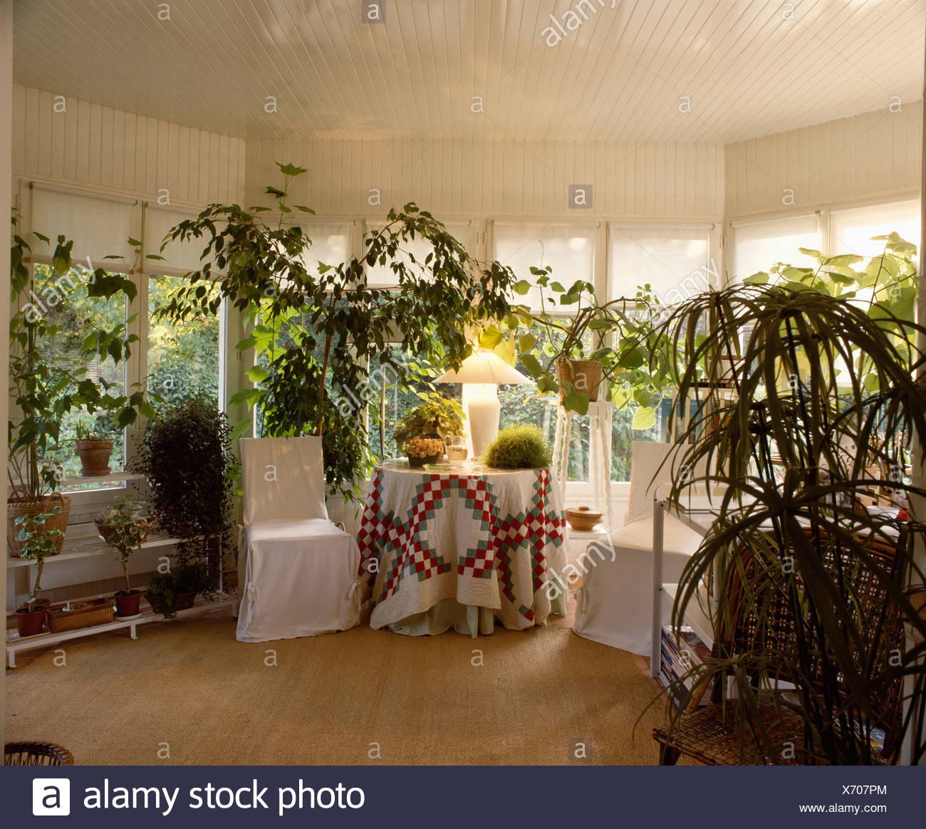 Tall Green Houseplants And Circular Table With Quilted