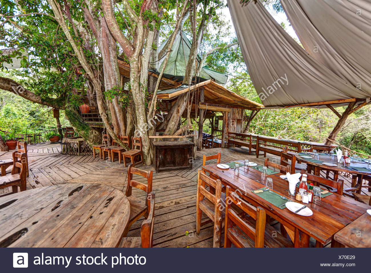 Huge Tree Africa High Resolution Stock Photography and Images Alamy