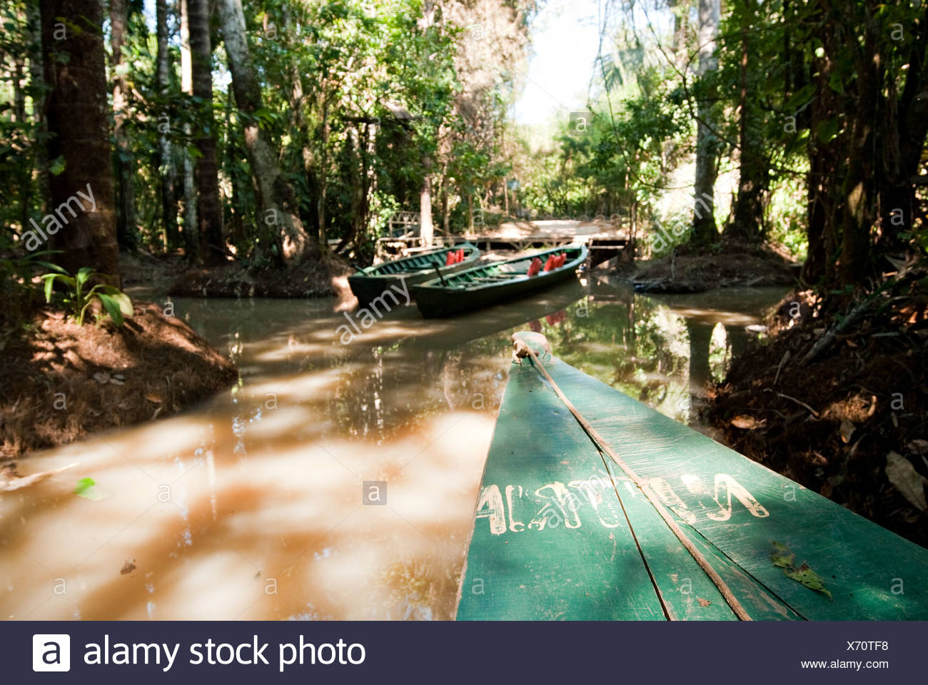 Amazon Tributary High Resolution Stock Photography and Images Alamy