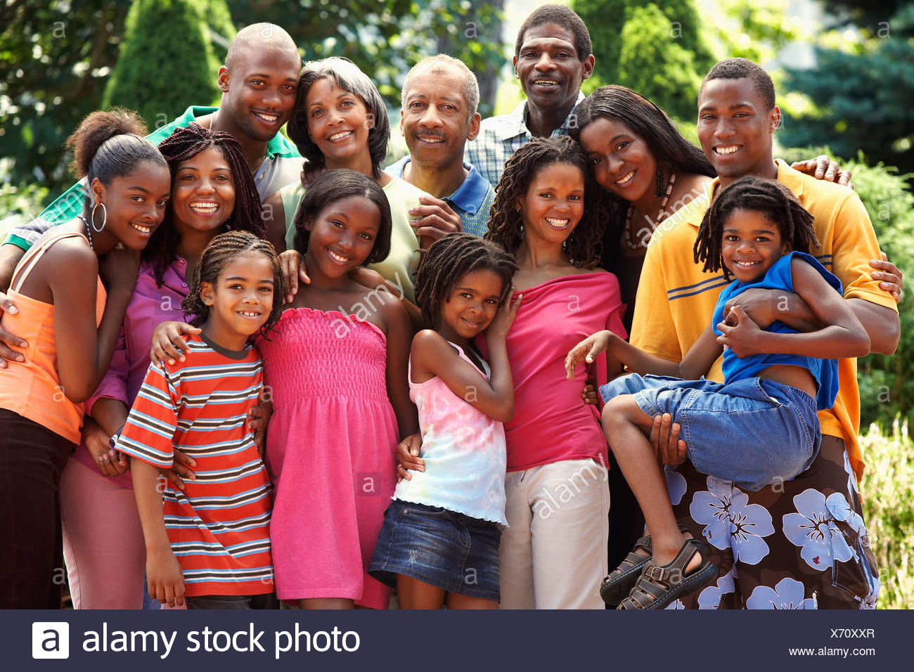 Ebony tree family