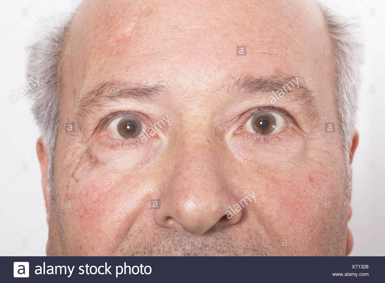 On physiognomy of the face or what information can be obtained by looking at a person On physiognomy of the face or what information can be obtained by looking at a person