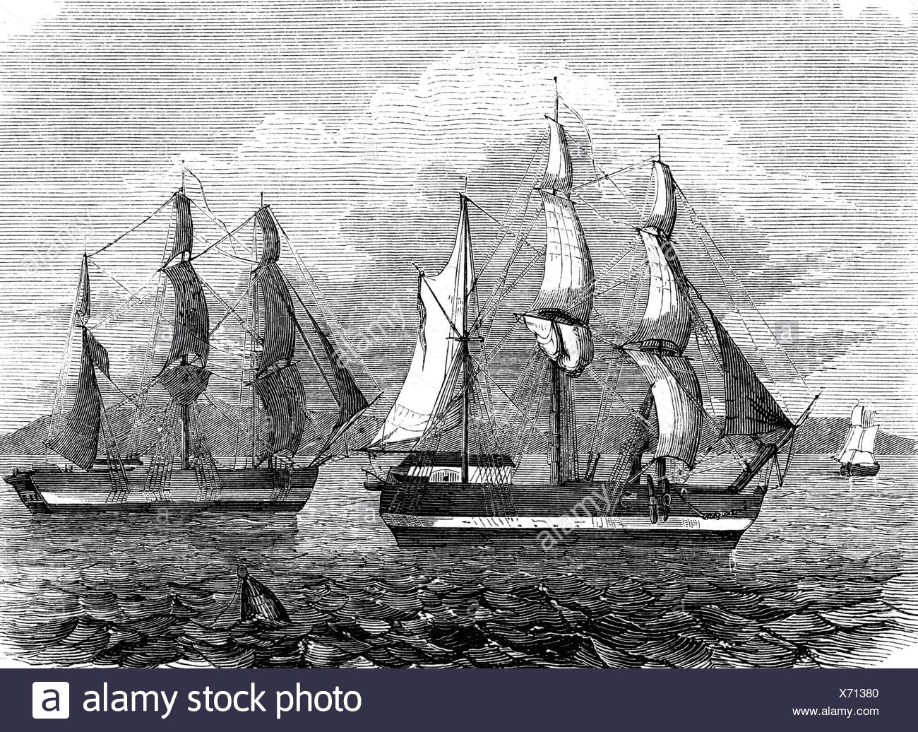Franklin John 16 4 1786 11 6 1847 British Arctic Explorer Expedition To The Arctic 1844 