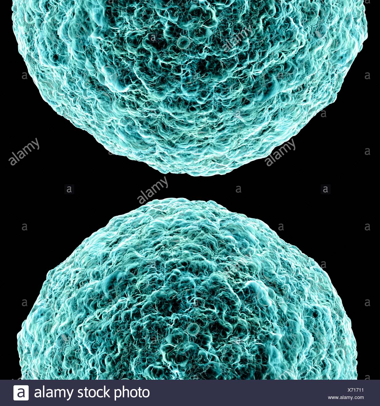 Human t-cell leukemia virus, computer artwork Stock Photo: 279695949