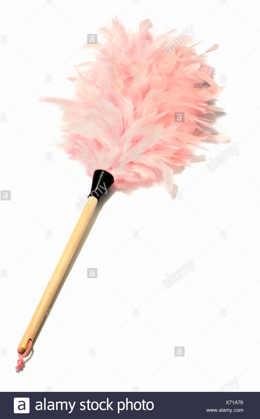 Feather Duster Stock Photos & Feather Duster Stock Images - Alamy