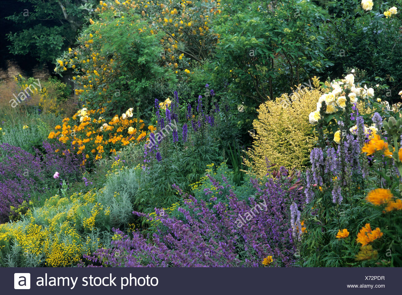 Herbaceous Border Stock Photos & Herbaceous Border Stock Images - Alamy