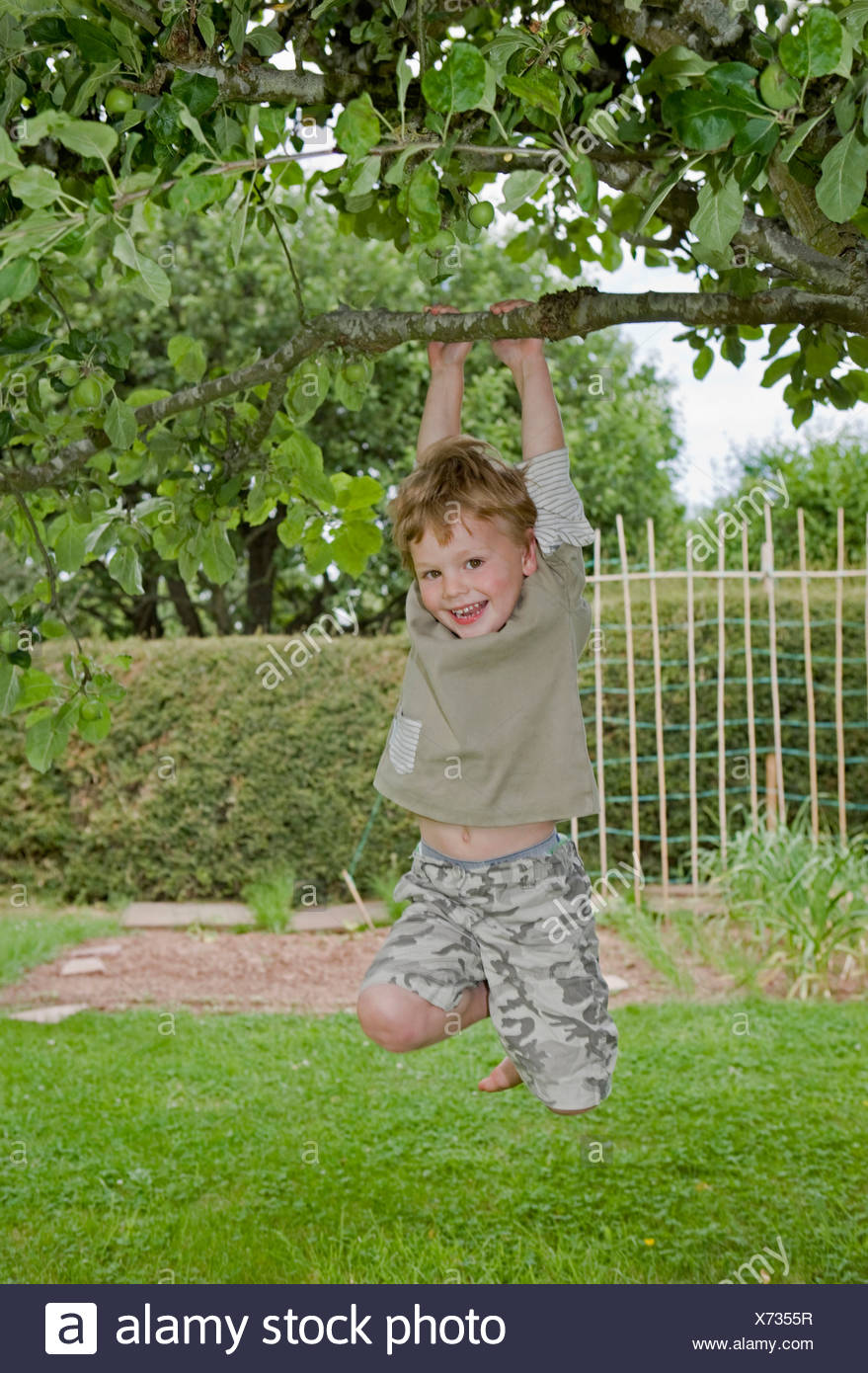 Boy Hanging Hanging From A Tree Branch Stock Photo - Image 