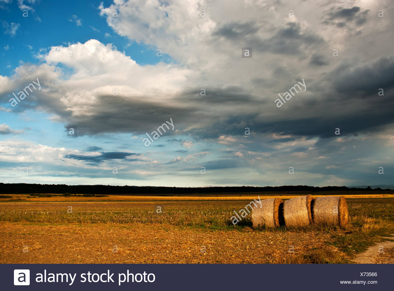 field, acre, cultivation, scenery, countryside, nature, harvest, profit, gain, Stock Photo