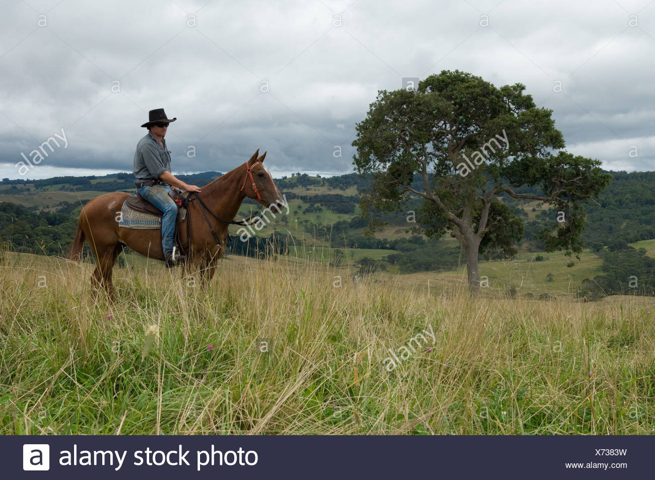 Horse Riding Australia Stock Photos & Horse Riding Australia Stock