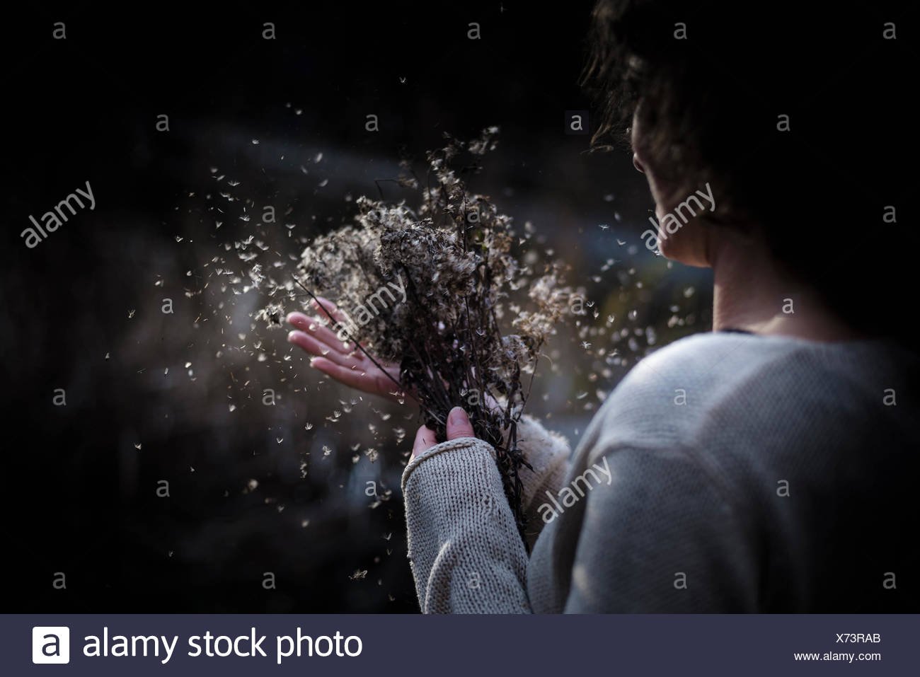 Scattering Seeds Stock Photos & Scattering Seeds Stock Images - Alamy
