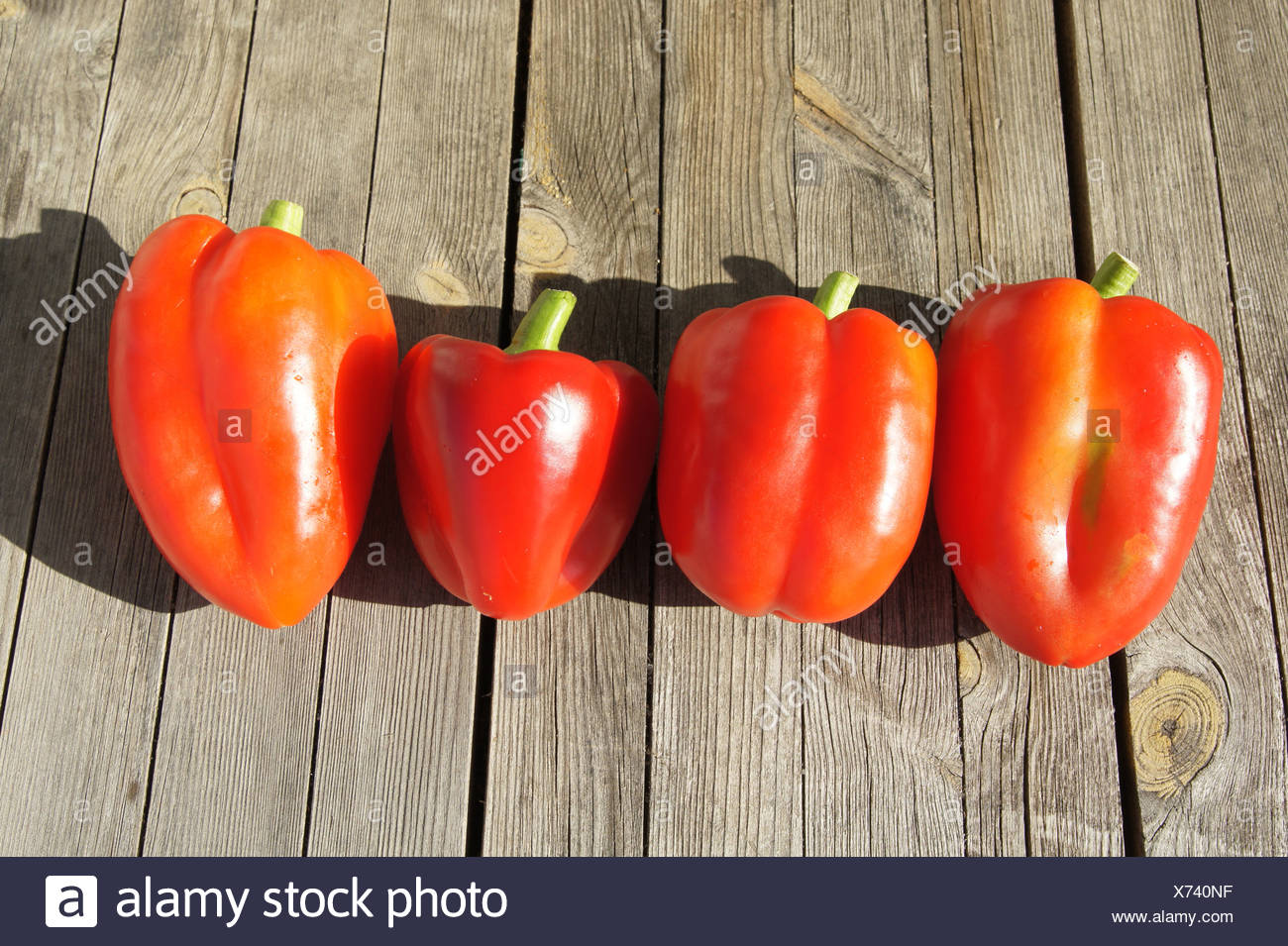 Paprika Capsicum Annuum Stock Photos & Paprika Capsicum Annuum Stock