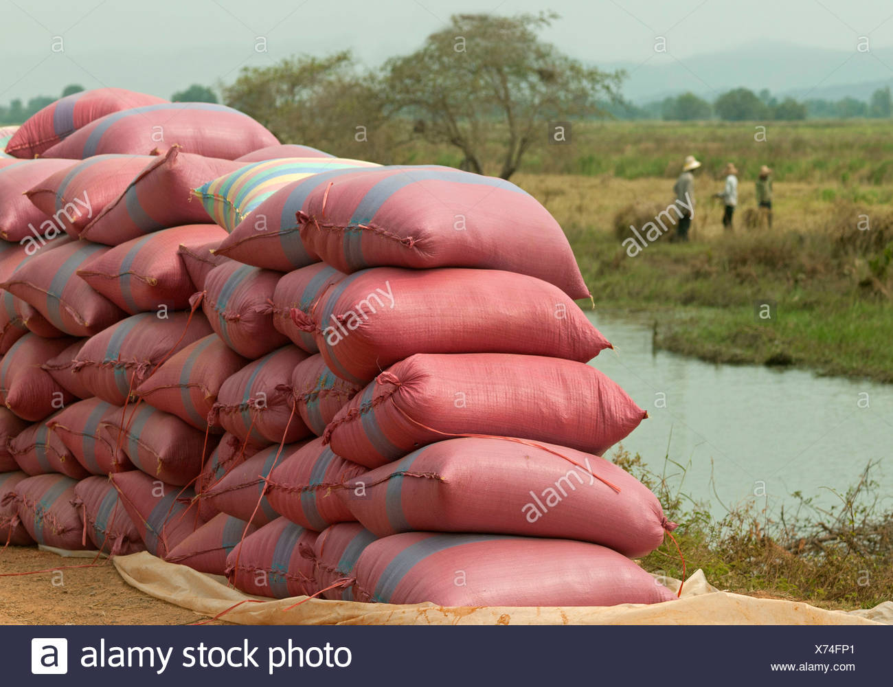 Pile Rice Bags High Resolution Stock Photography and Images Alamy