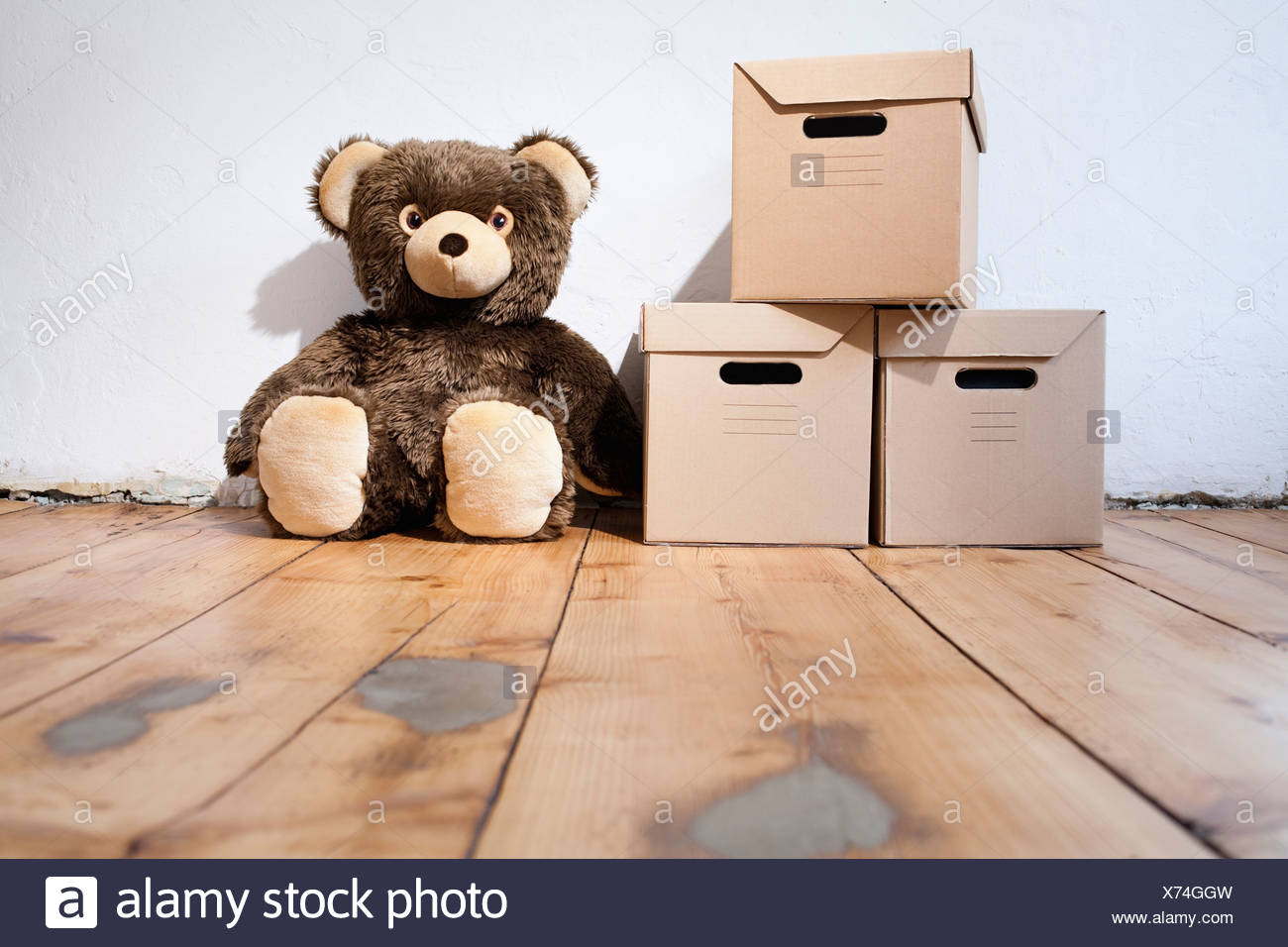 next teddy bear