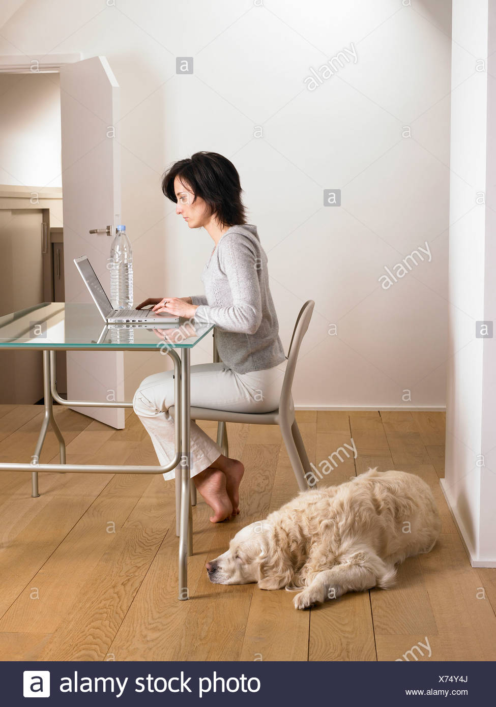 Woman At Her Desk Dog Sleeping Stock Photo 279777586 Alamy