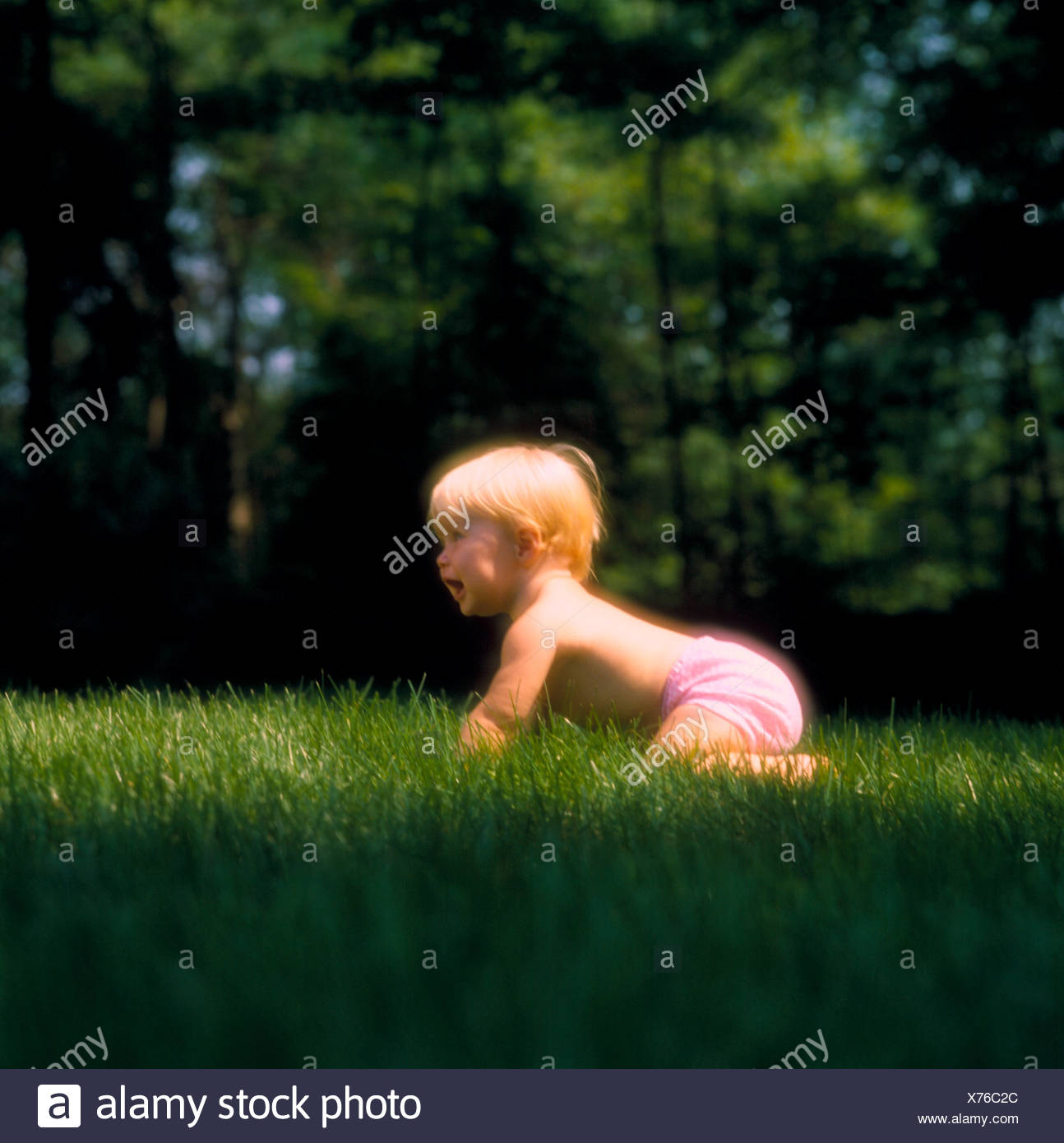 pink diapers for babies