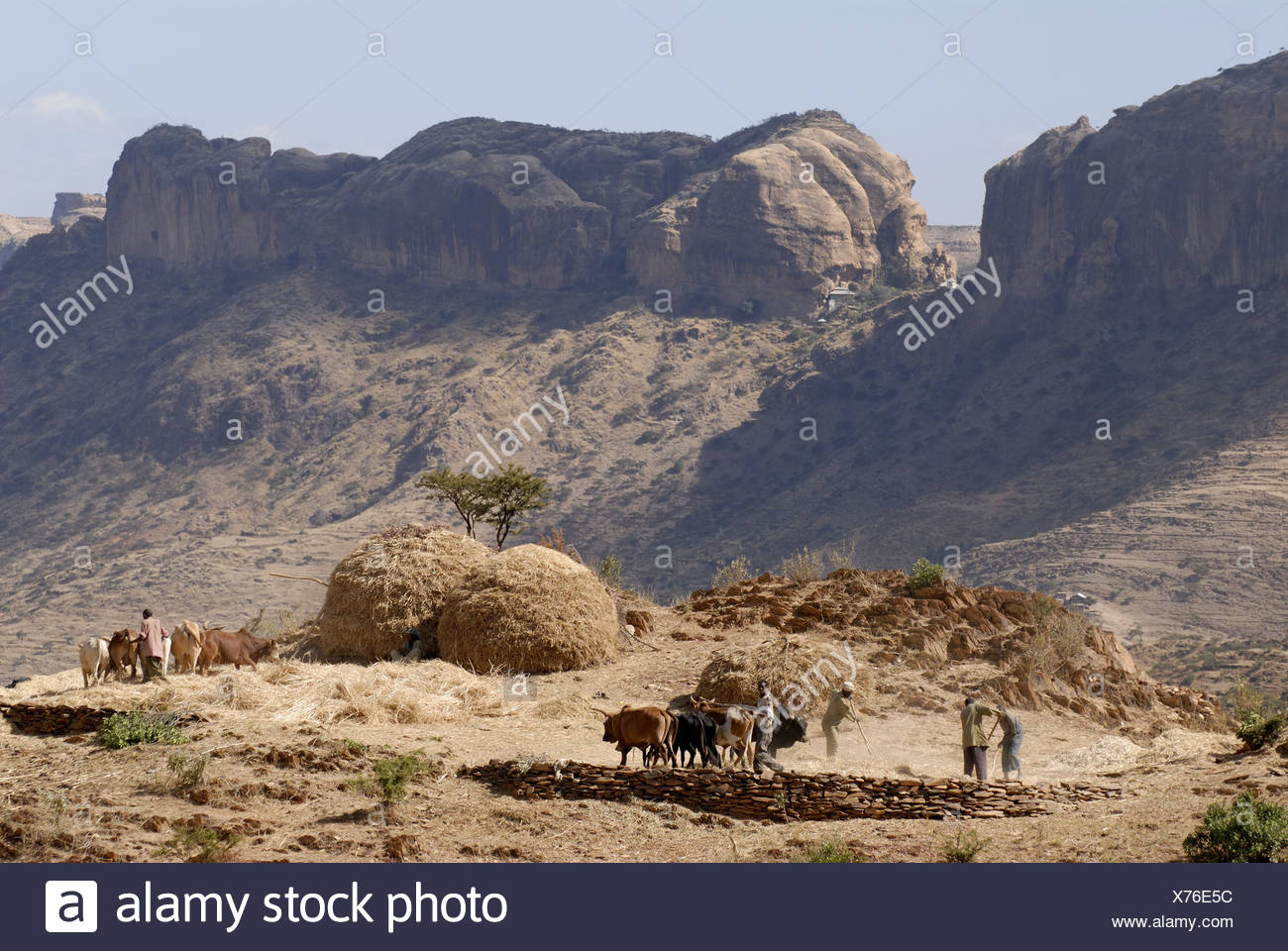 East African plateau. Where is the East African Plateau East African plateau. Where is the East African Plateau