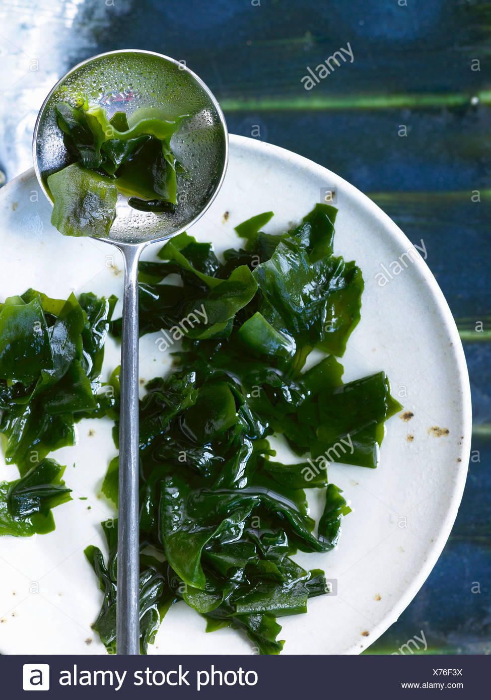 Undaria Pinnatifida Stock Photos & Undaria Pinnatifida Stock Images Alamy