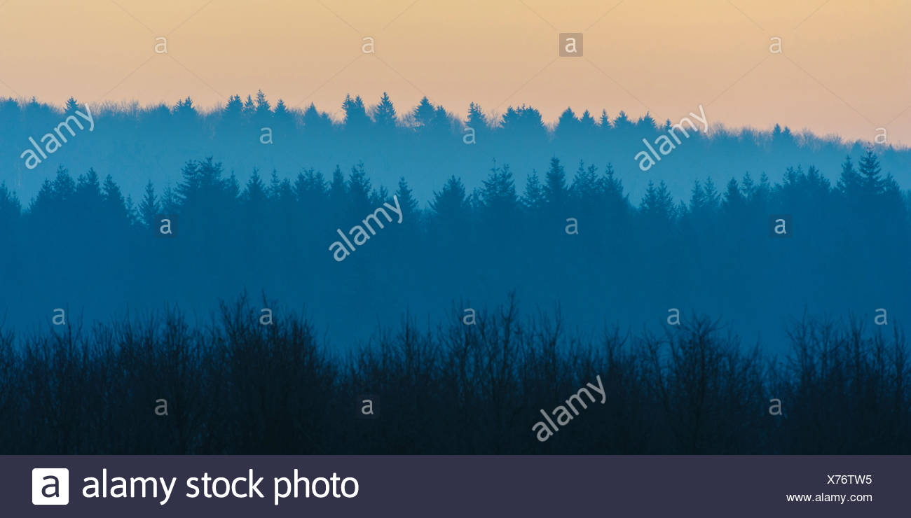 Solling Stock Photos Solling Stock Images Alamy