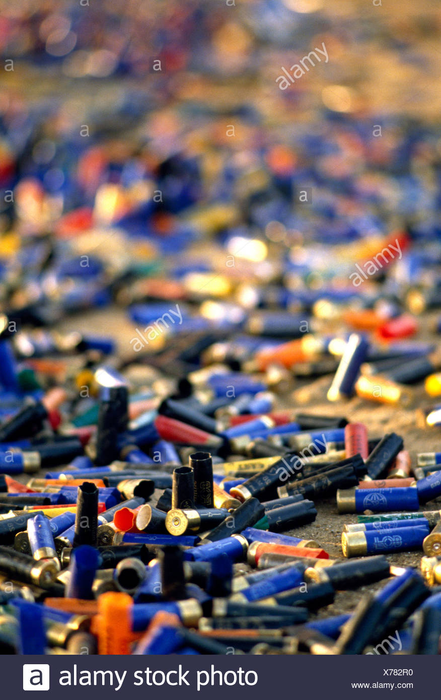 Lots Of Shells High Resolution Stock Photography and Images - Alamy