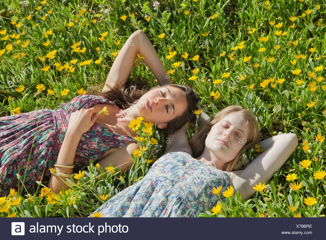 Teenage Girls Laying In Field Of Flowers Stock Photo Alamy Teenage Girls Laying In Field Of Flowers Stock Photo Alamy