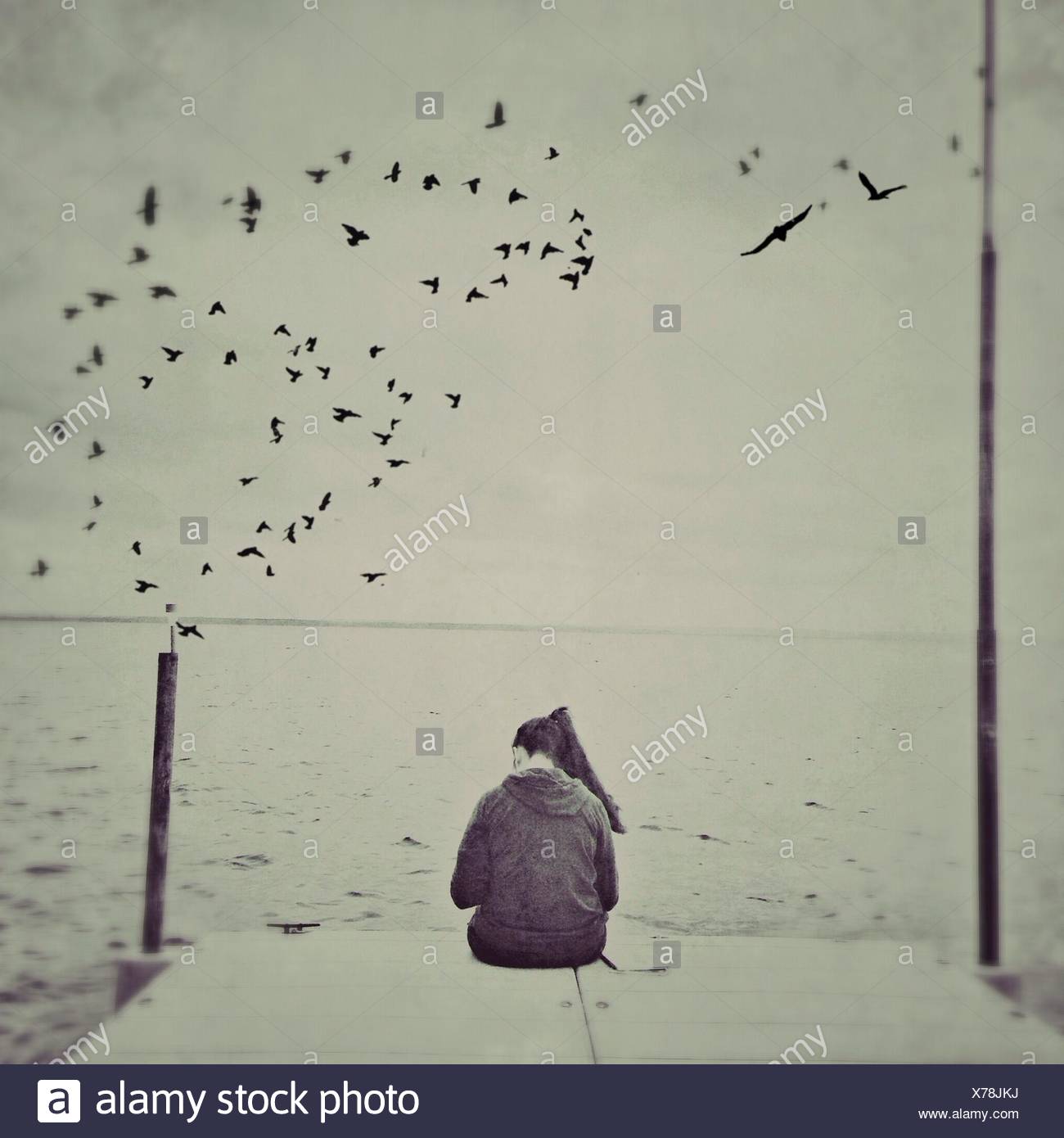 Rear View Of Woman Sitting At The Edge Of Pier With Birds Flying Over Sea Stock Photo