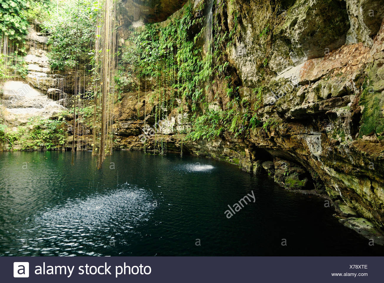 Interior Of A Typical Cenote Sinkhole Near Chichen Itza