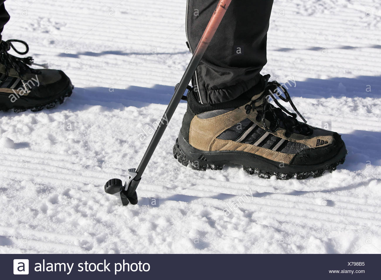 sport winter shoes