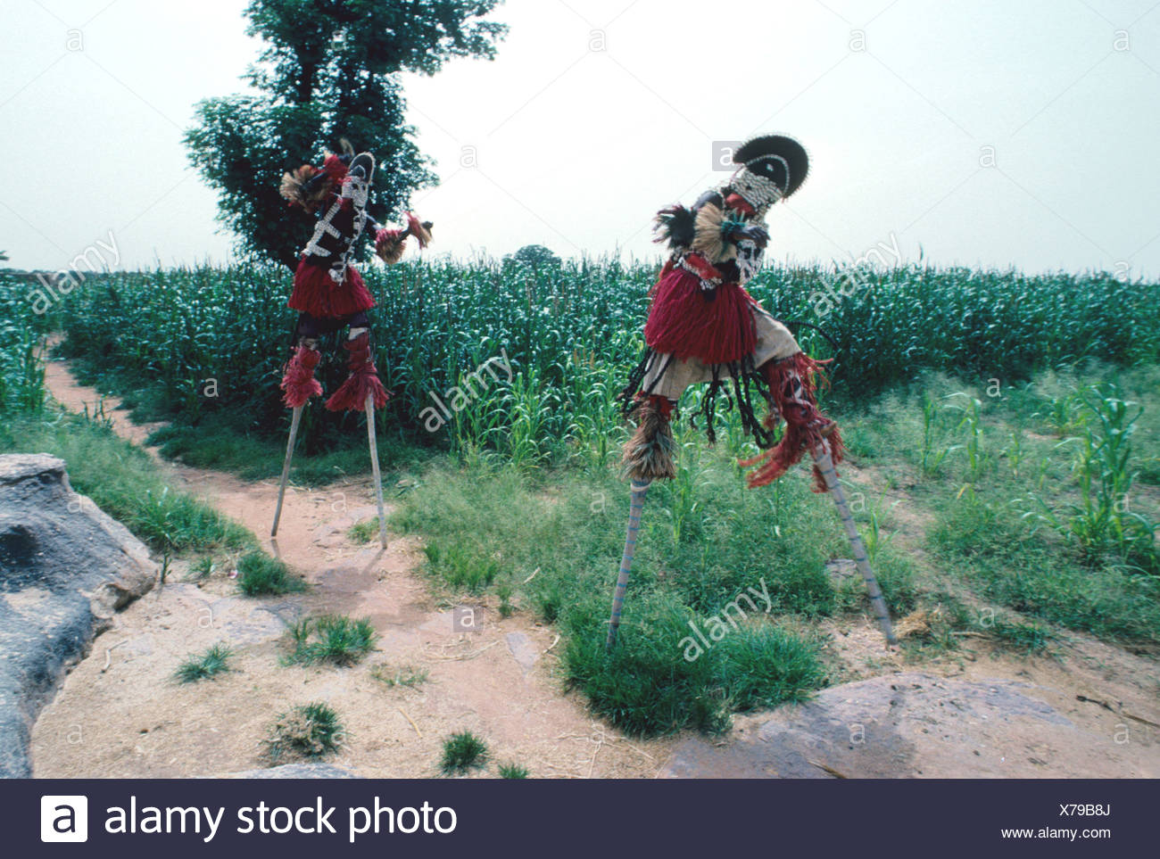 awa tribe pets awa tribe pets