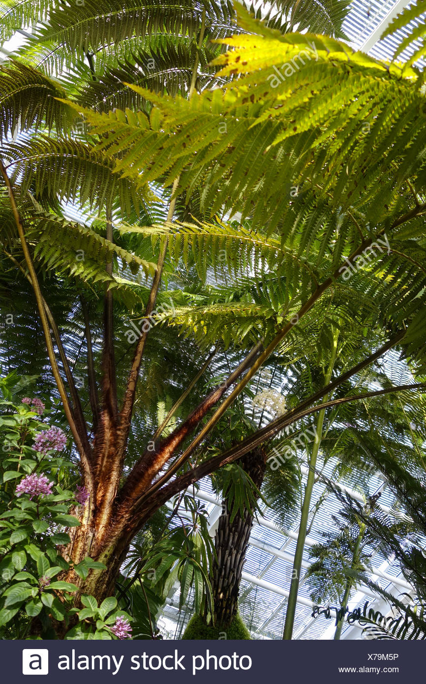 botanischer garten bayern